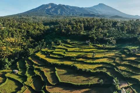 Gili Islands → Tetebatu