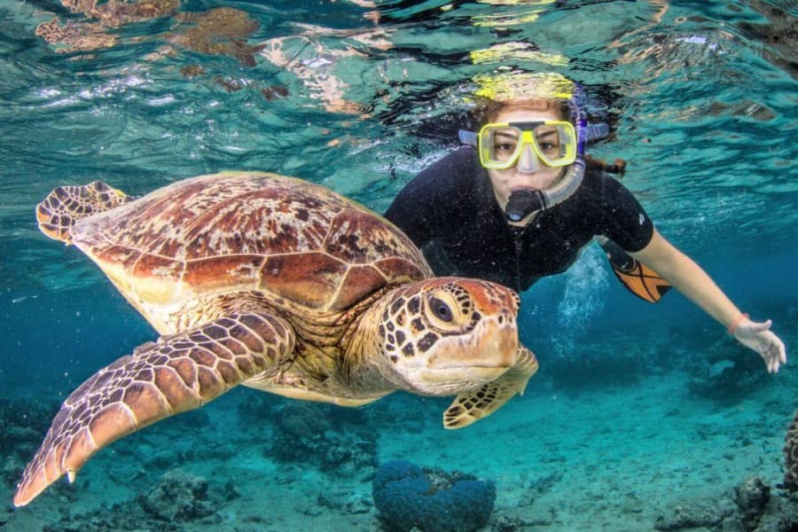 Spot Snorkeling Terbaik di Gili Islands